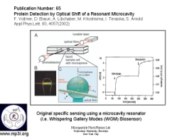 Whispering Gallery Mode Biosensor 006.JPG